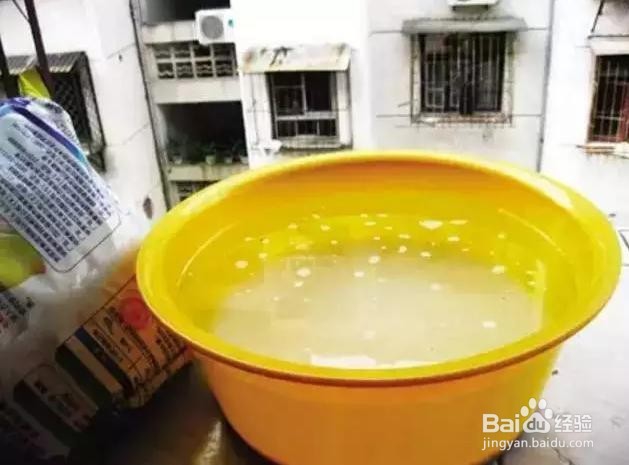 如何驱蚊防蚊虫叮咬