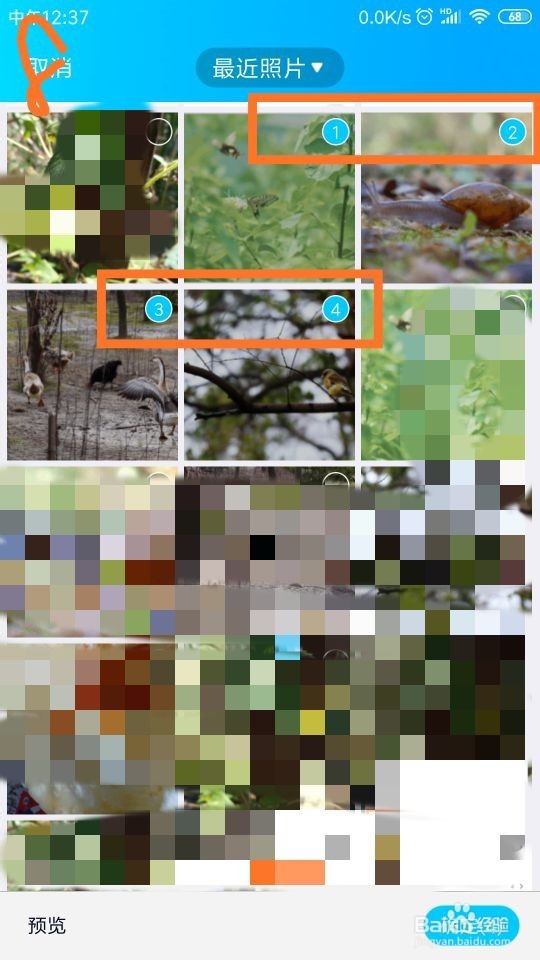 怎样在QQ相册中制作动感影集？