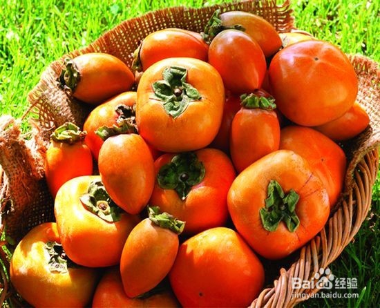 柿子惊人的秘密