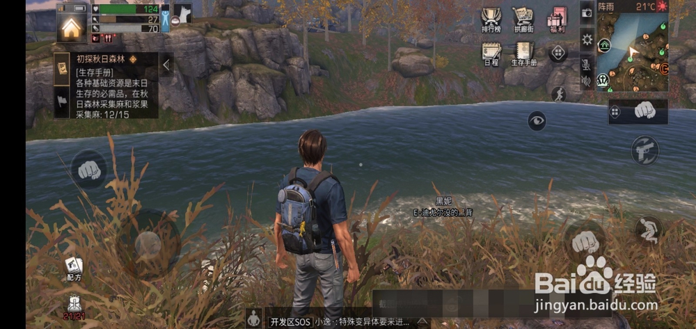 明日之后在秋日森林采集麻和浆果找不到怎么办