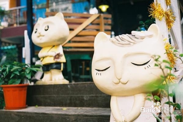 怎么才能让2017年过得更好