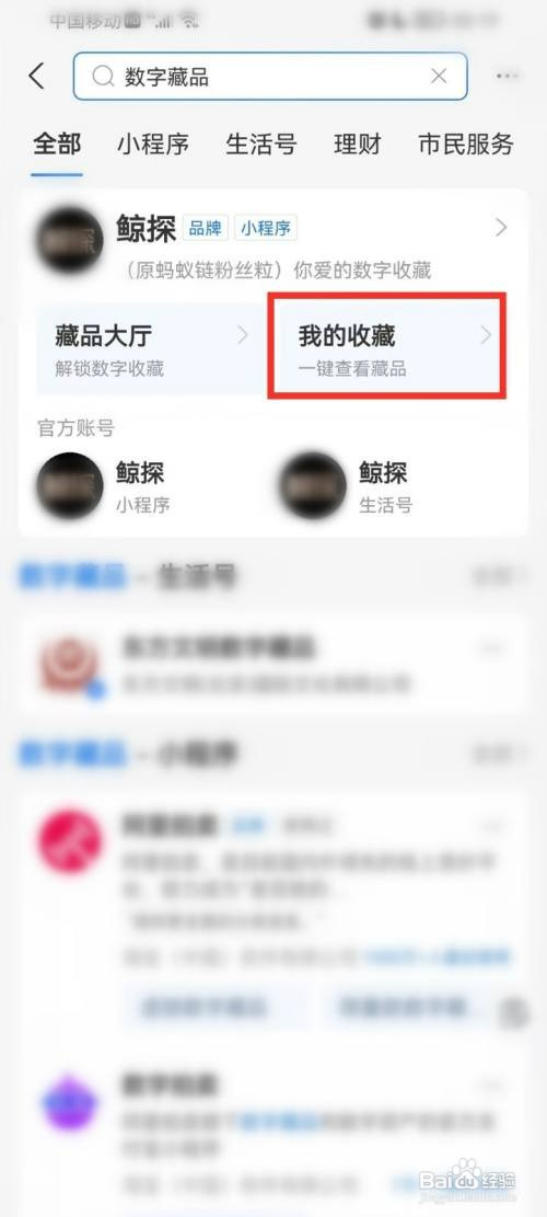 支付宝数字藏品在哪才能看