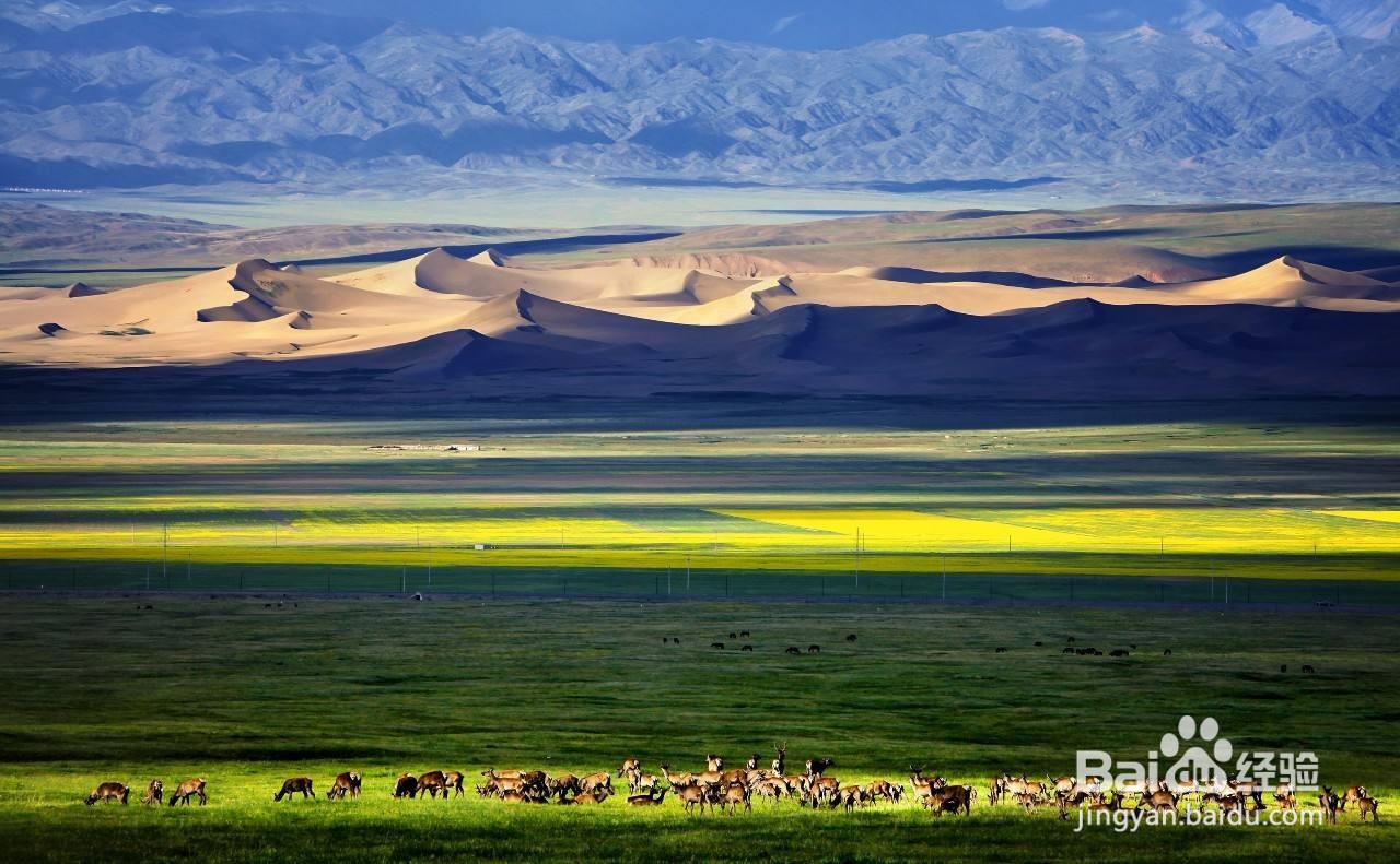 哈密市周边好玩人气旅游景点推荐