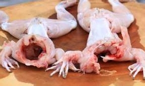 干锅牛蛙好吃实惠