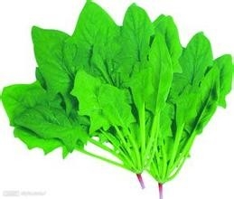 几种适宜女性食用的早餐食物