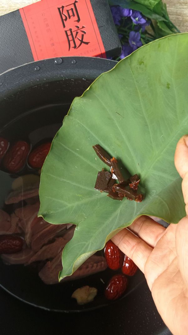 阿胶药膳炖鸽子