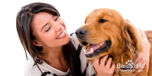 怎么样让狗狗喜欢我,快速和狗狗熟悉建立感情?