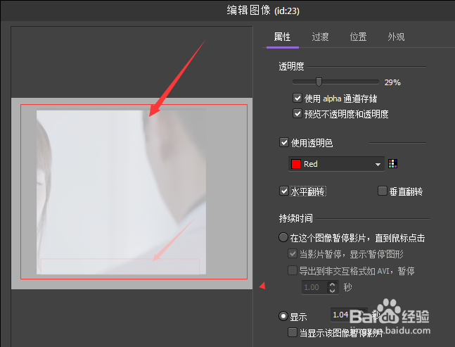 BB FlashBack在视频图像怎么水平翻转