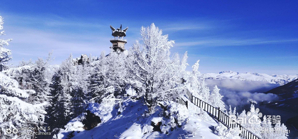 喀纳斯冬季冰雪三日游旅行指南
