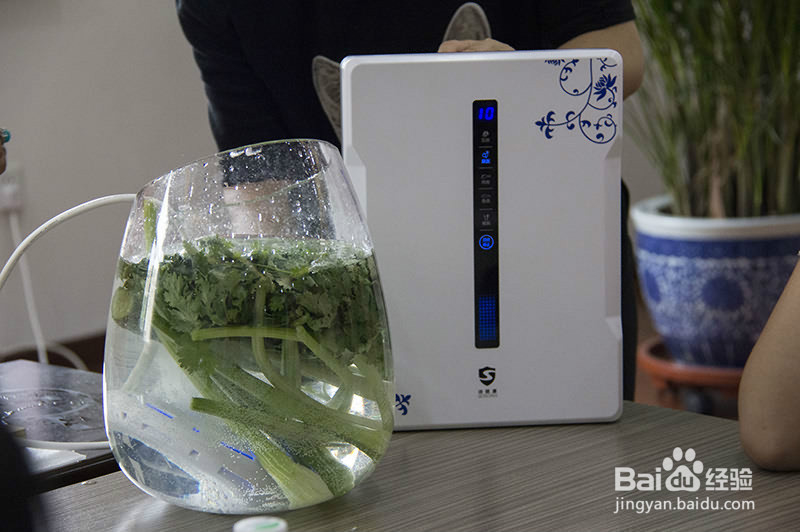 烹调前的食品净化