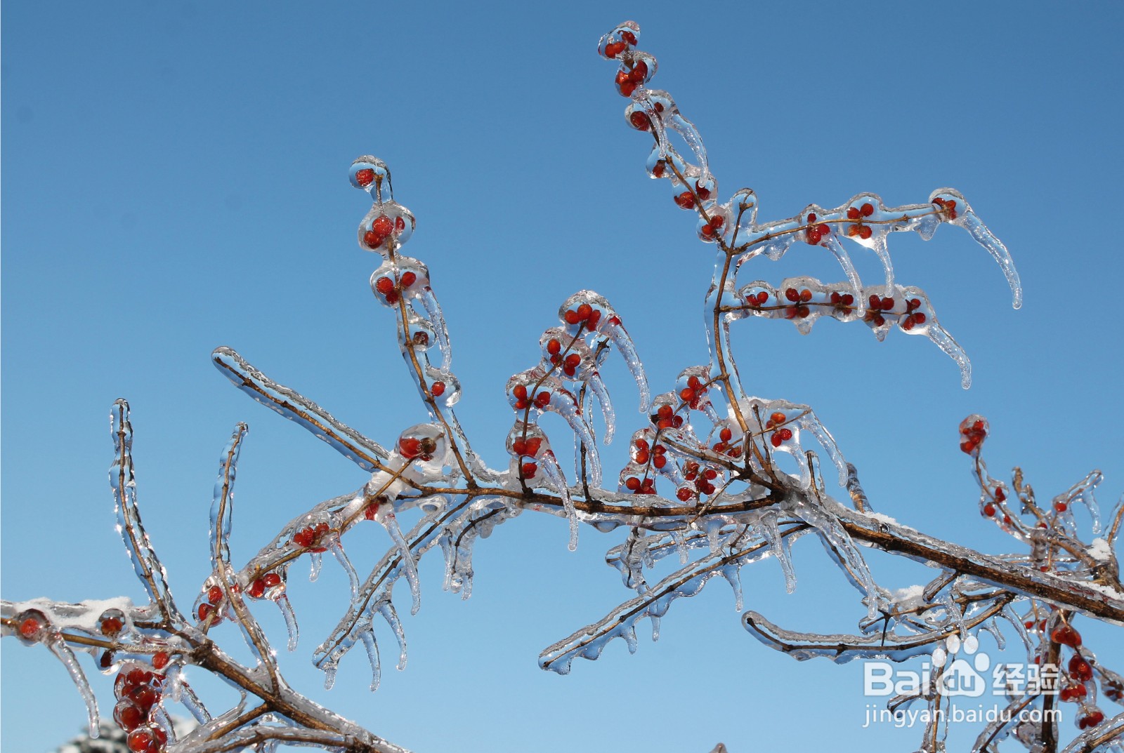 怎样用古诗形容长春2020年冬季第一场雪