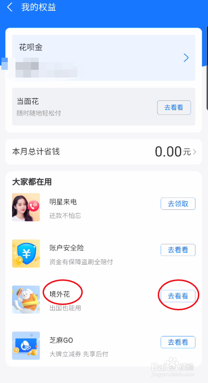 支付宝如何查看境外花信息