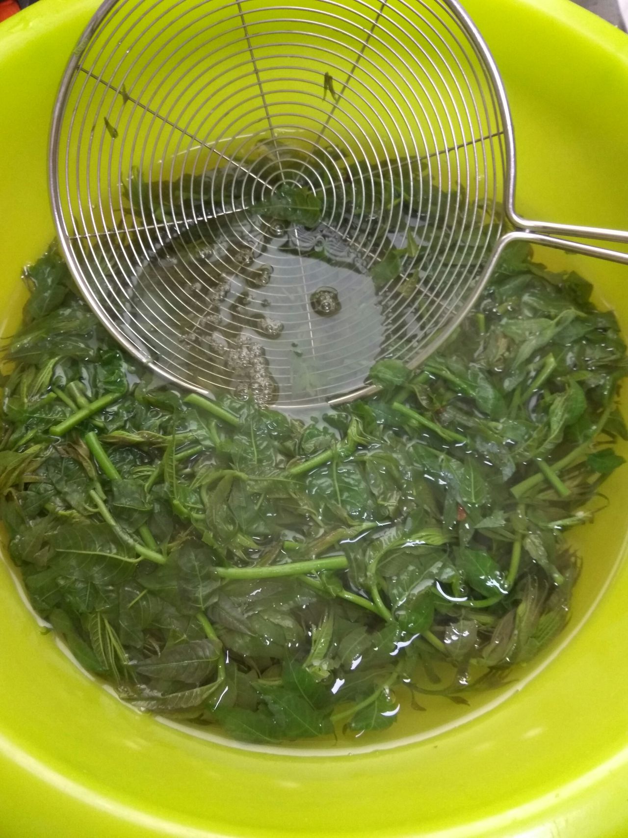 教你做美味的冷冻香椿