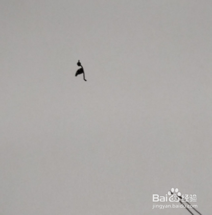 用秋天的叶子做手工