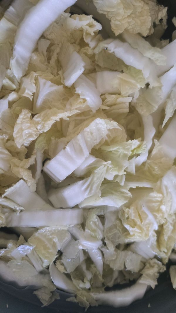 猪肉白菜炖粉条