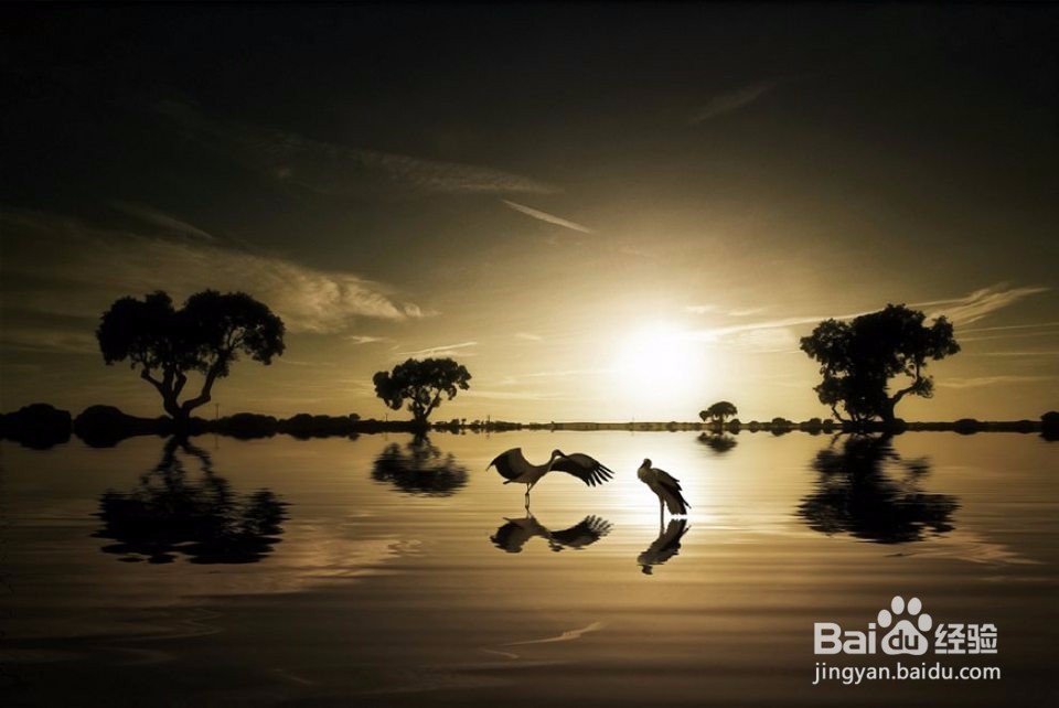 中學生每天吃多少蔬菜水果比較合適？