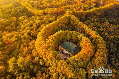 南京秋天旅游攻略