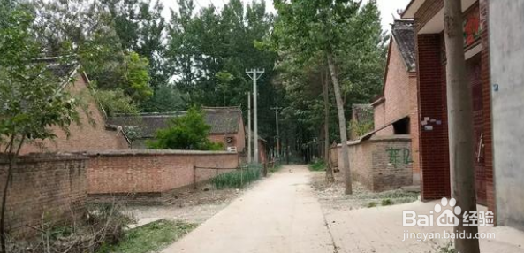 农村实行统一规划，哪些村庄不会列入？