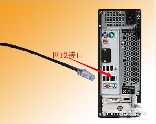 怎样解决不能上网的问题