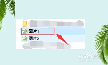 word文档如何加入照片