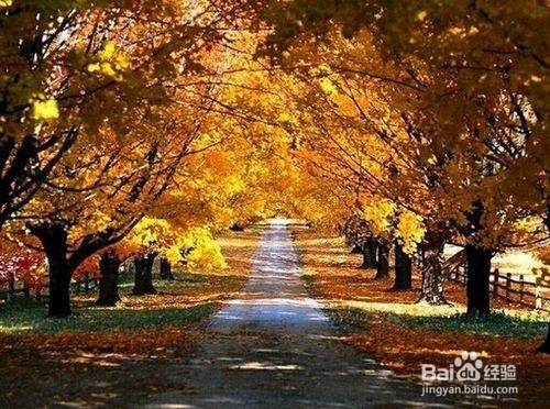 四十不惑什么呢？让我告诉你