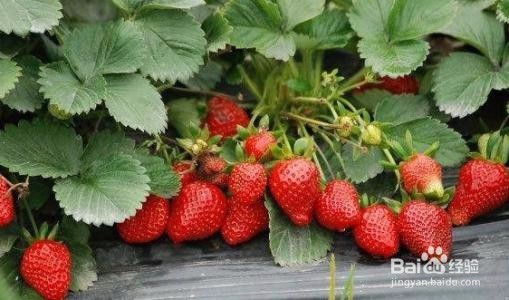 13种不同原因长痘的祛痘方法