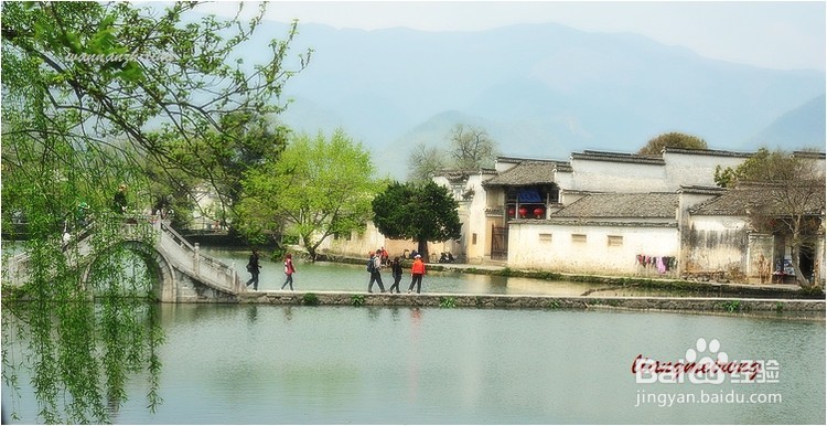 怎样度过大学四年