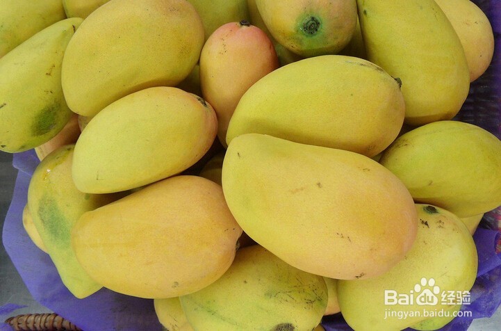 购买芒果要如何精挑细选？