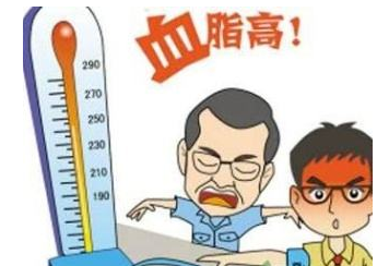 天草丹参茶的功效与服用方法有哪些