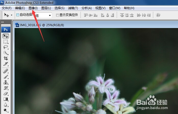 把照片变亮最简单的方法