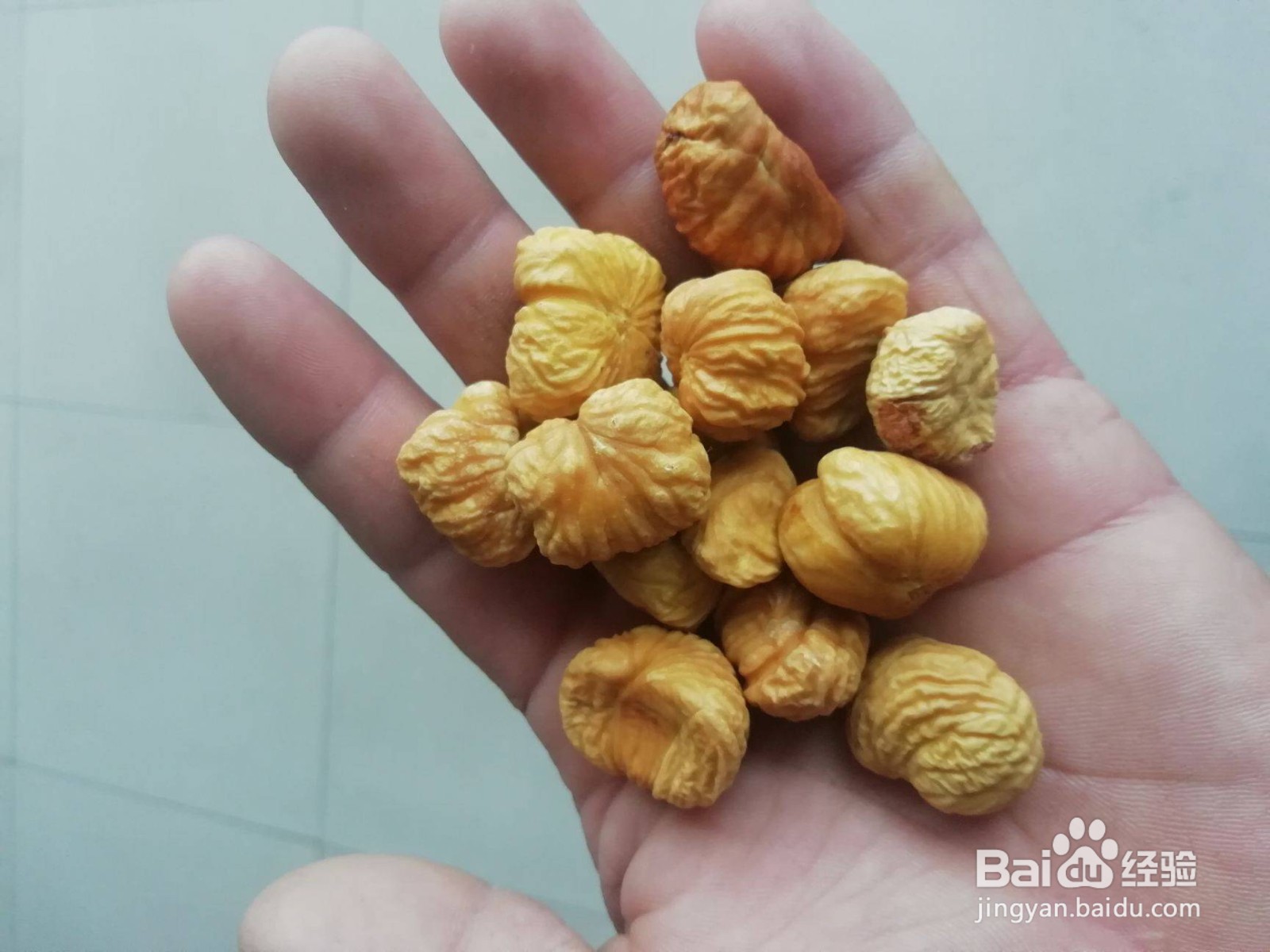 如何保存生的板栗