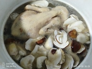 教你怎么做松茸鸡汤