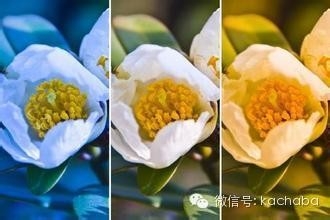 手机也要拍showgirl!chinajoy全方位拍摄大法