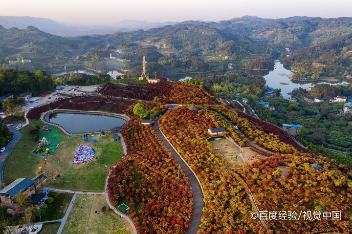 巴南有什么好玩的景点