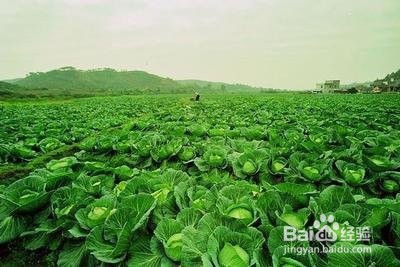 荨麻疹要忌口的食物有哪些