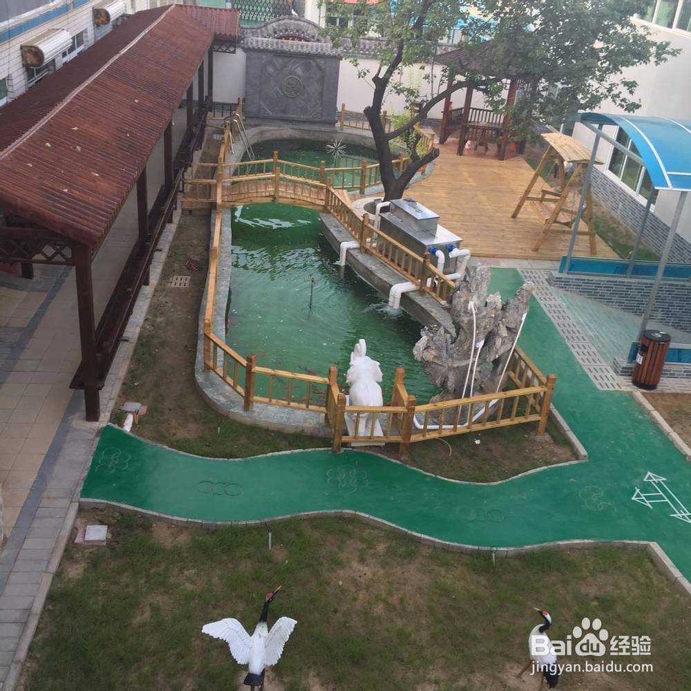 操心景观鱼池打理?看这里,让您赏鱼无忧