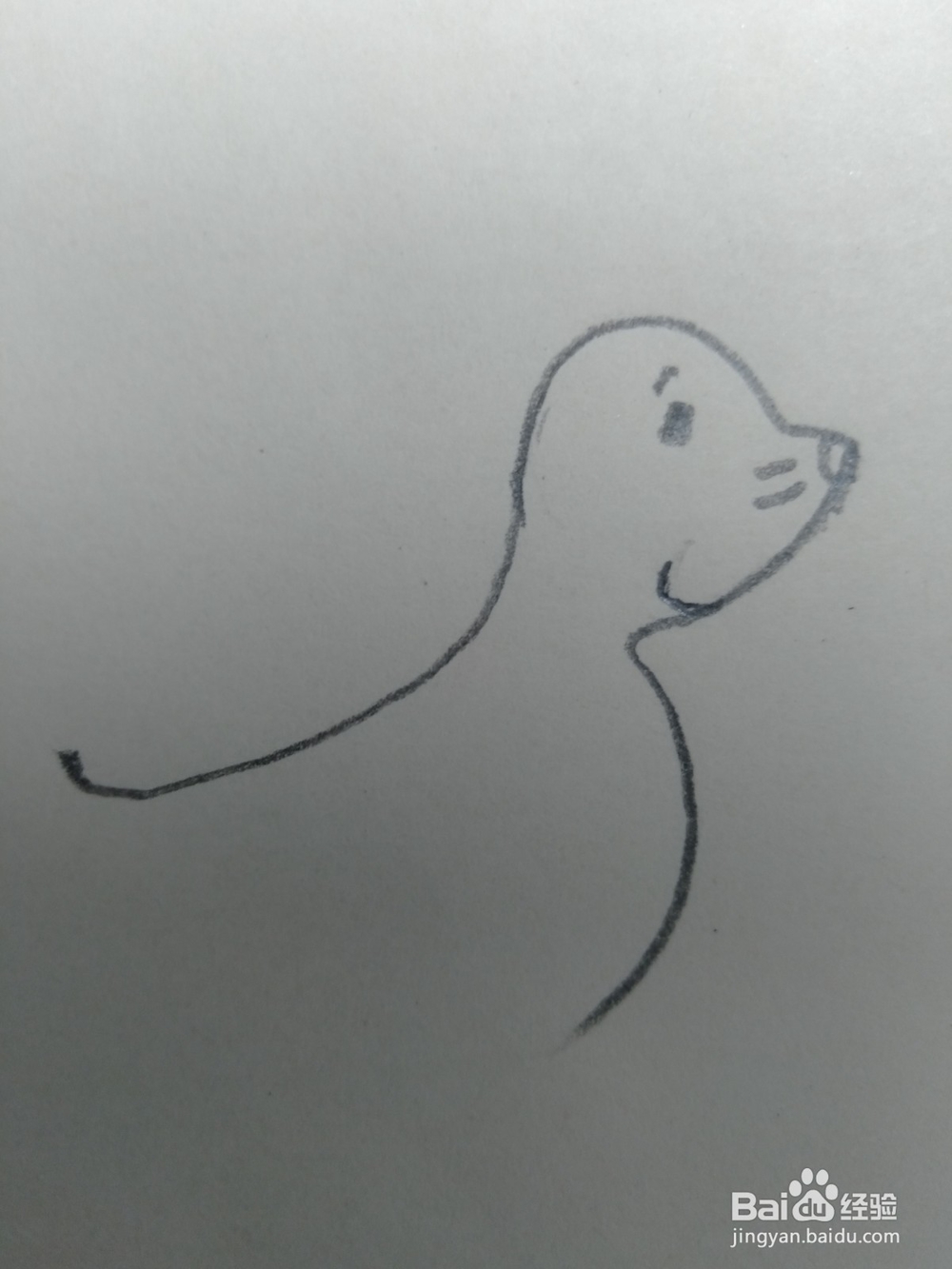 儿童简笔画小海豹画法