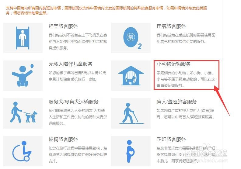 在东航官网上如何办理宠物的托运？