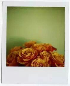 蔬菜怎么保存不容易坏