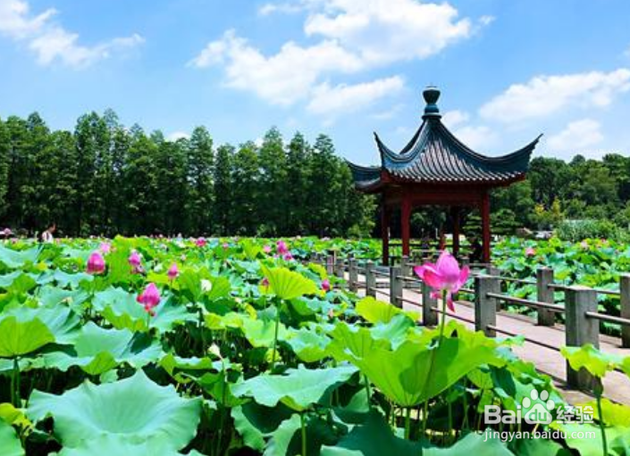 武汉一日游路线
