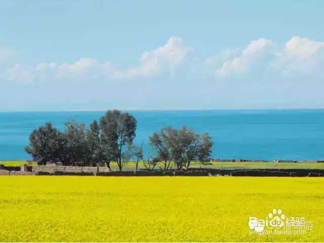 西藏公路式旅行的详细行程规划