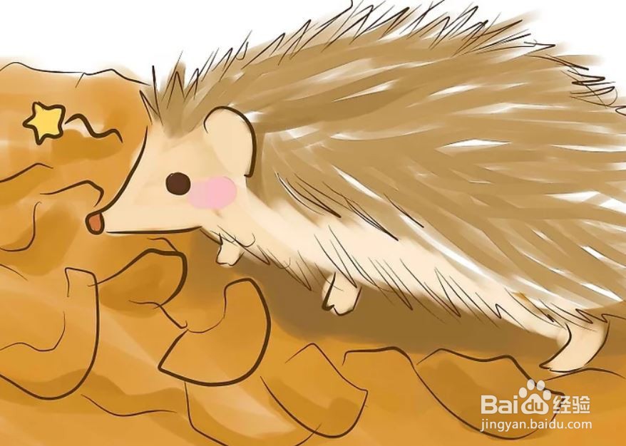 如何照顾一只刺猬