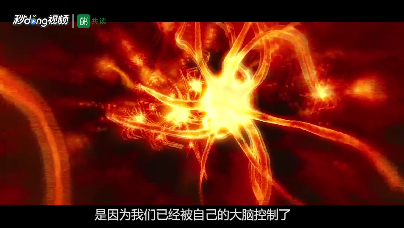 如何解读《当下的力量》
