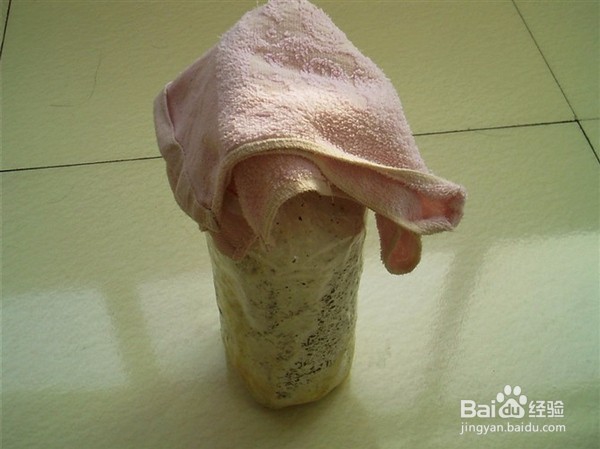 如何自行种植蘑菇?