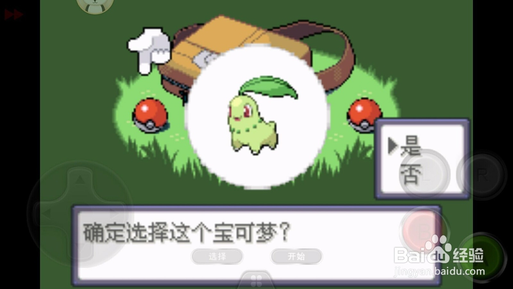 口袋妖怪究极绿宝石初始精灵菊叶草性格选择。