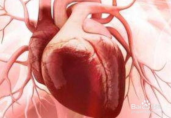 循环系统之肥厚型梗阻性心肌病之重点