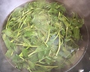 养生食补香椿芽炒鸡蛋的做法