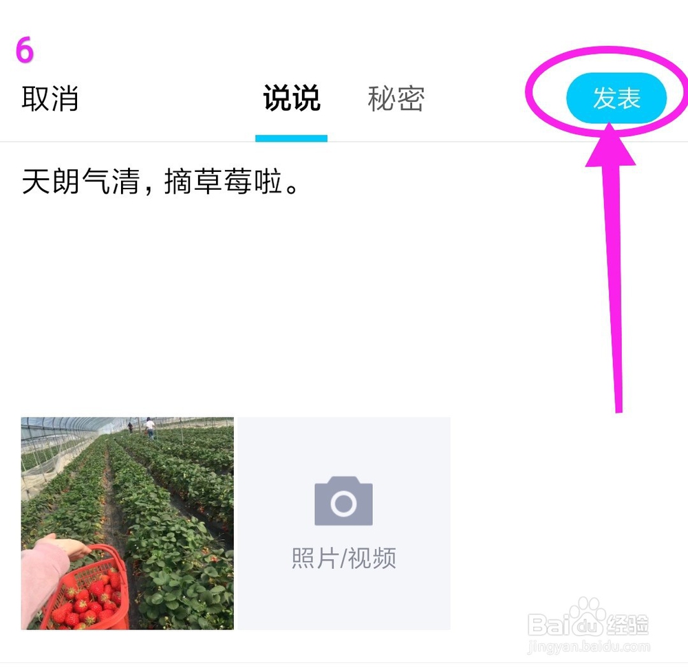 发水果照片怎么发说说