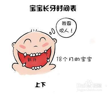 新手父母必看：宝宝长牙的时间及顺序
