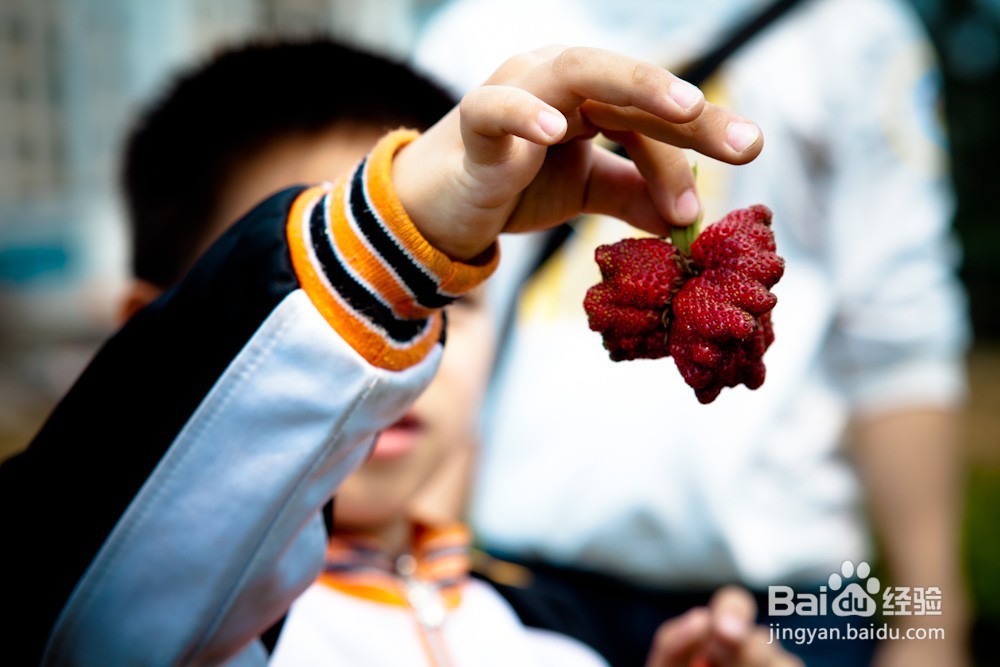 孩子得了自闭症怎么办 儿童孤独症怎么治